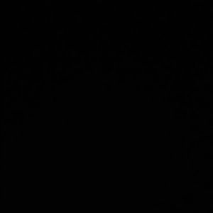 Meet your Posher, Elise